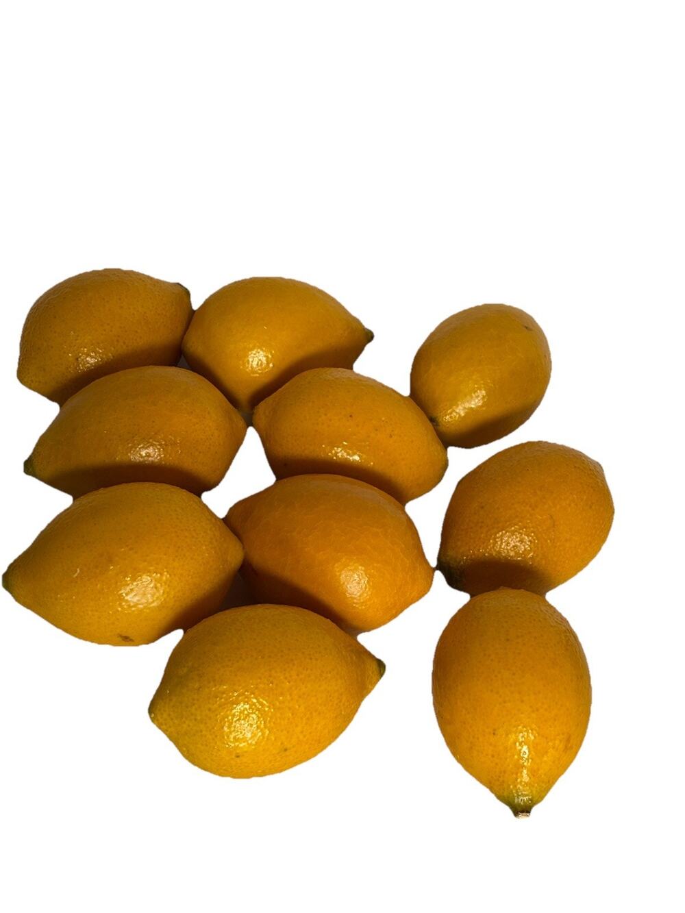 Vintage Artificial Fruit Citrus Lemons Yellow Resin Display Decor Lot of 10